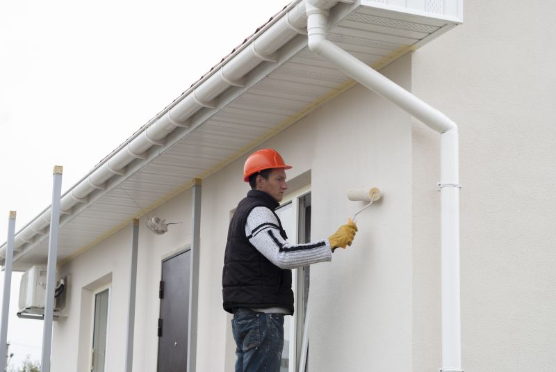 Gutters Painting in Fort Collins, CO
