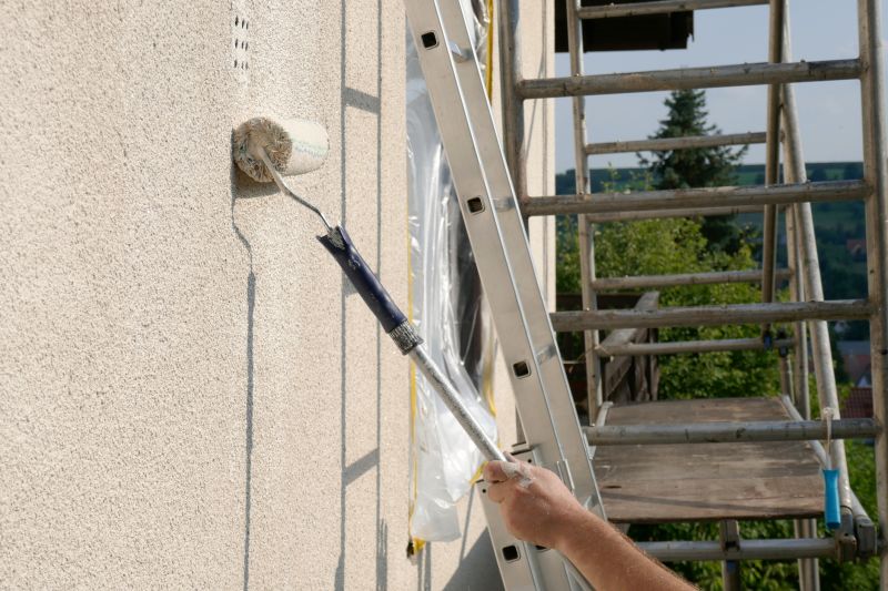 Cladding Painting in Longmont, CO