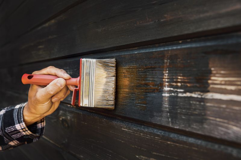 Cladding Painting in Fort Collins, CO