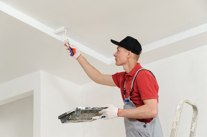 House Ceiling Painting in Kansas City, KS