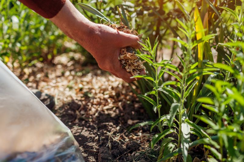 Mulching with Wood Strippings